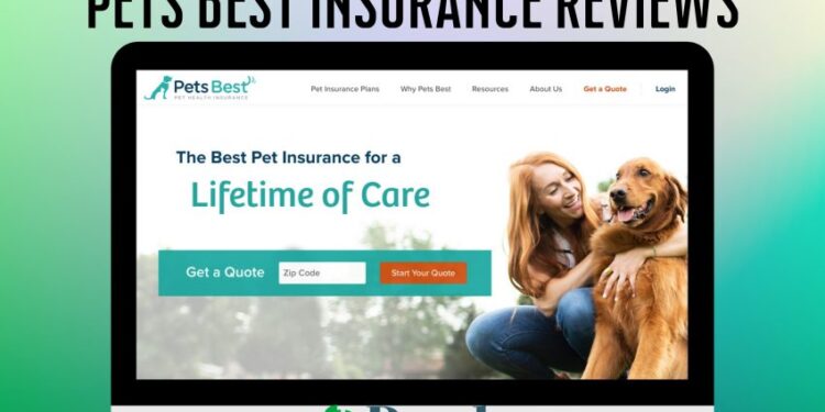 Insurance pet pets compare bulldog french plans claims